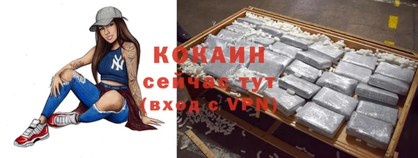 ешки Алексин