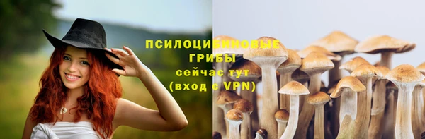 ешки Алексин